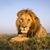 Jill Stephen-Freas's profile image