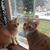 Lisa Cox Dale's profile image
