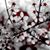 Jill Holden's profile image
