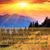 Cindi Reyes Marshall's profile image