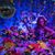 Vikki Davis's profile image