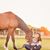 Jenn Clauss's profile image
