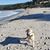 Gregory Wayne Smith's profile image