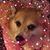 Tina Allsbrook Dry's profile image