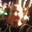 Warren McKenzie's profile image