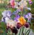 Jim Phyllis Mangin's profile image