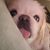 Gordy Roman's profile image
