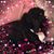 Joyce Sullivan's profile image