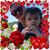 Mary Finlay's profile image