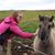 Darcie Jacobson's profile image
