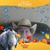 Kathleen Goodrick's profile image