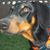 Amy Niles Jester's profile image