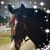 Fabian Densmore-Jordan's profile image