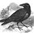 Demetrius Pietz's profile image