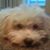 Kathleen Goettel's profile image