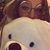 Kaykay Rose's profile image