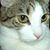 Elisa Gutierrez's profile image