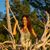 Ellie Vates's profile image