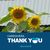 Holly Susan Jaeger's profile image