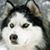 Frantz Soiro's profile image