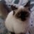 Lora Snider's profile image