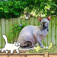 Tia Russell's profile image