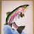 Heather Stauffer's profile image