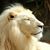 Billy Stories's profile image