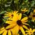 Andrea Hadley Vermeulen's profile image