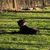 Bruce Anding's profile image