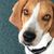 Anna Nirva's profile image