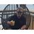 Jim Dunn's profile image