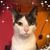 Linda Emery Long's profile image