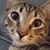 Bernie Bernstone's profile image
