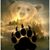 Gail Zega's profile image