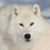 Franz Sloma's profile image