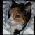 Karen Smith's profile image