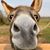 Brandon Eaton's profile image