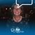 Lynn Sheppard's profile image