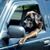John Pich's profile image