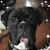 Patti Eseny Hugney's profile image