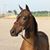 MeLisa Johnson's profile image