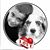 Megan Brown's profile image