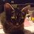 Karen K Kruckenberg's profile image