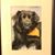 Stephen Burrows's profile image