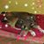 Lisbeth Mendoza-Feger's profile image