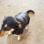 Vickie Burks's profile image