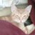 Cyndee Rothbart's profile image
