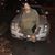 CheRelle Stigger's profile image