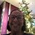 Marta Aviles's profile image